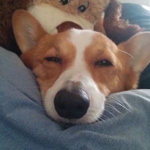 Meet your Posher, Elaine